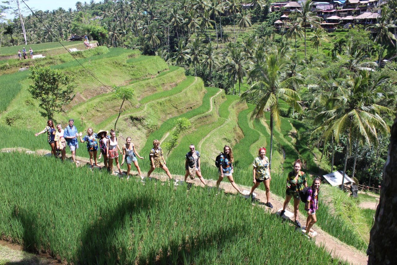 A group walking through the rice terraces in Ubud, Bali, Indonesia 